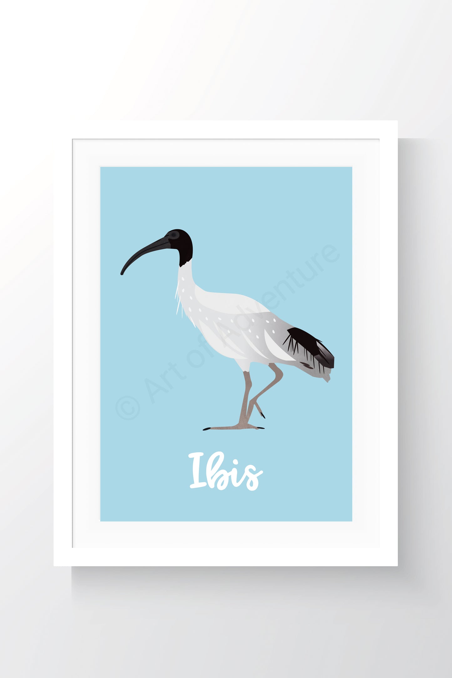 Ibis