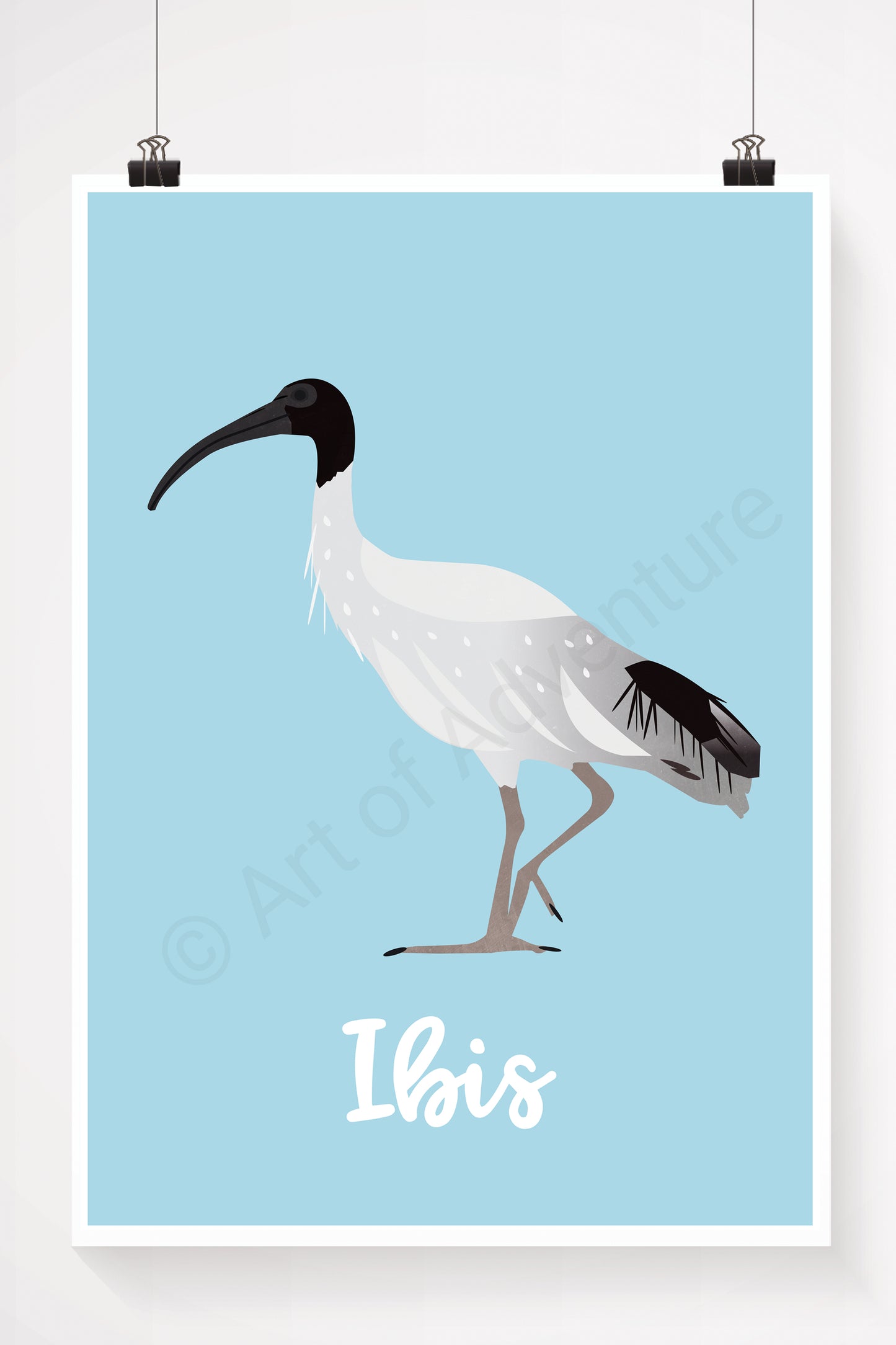 Ibis