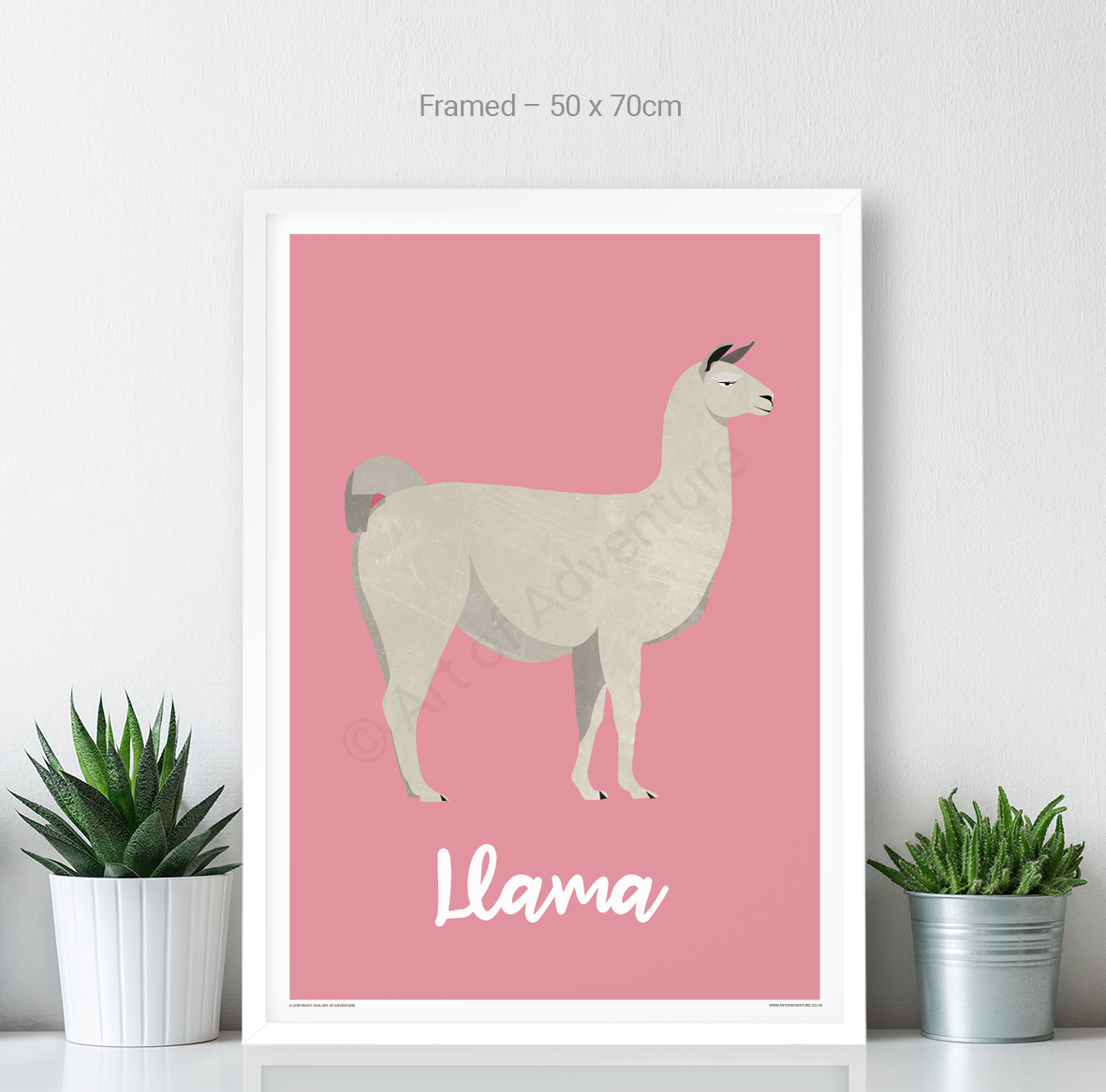 Llama