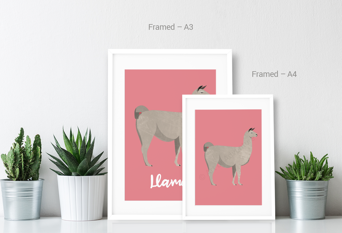 Llama