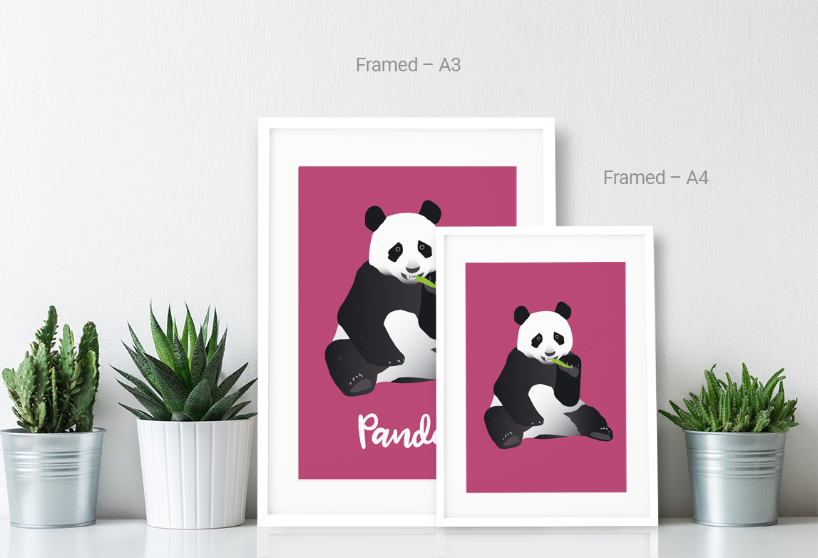 Panda