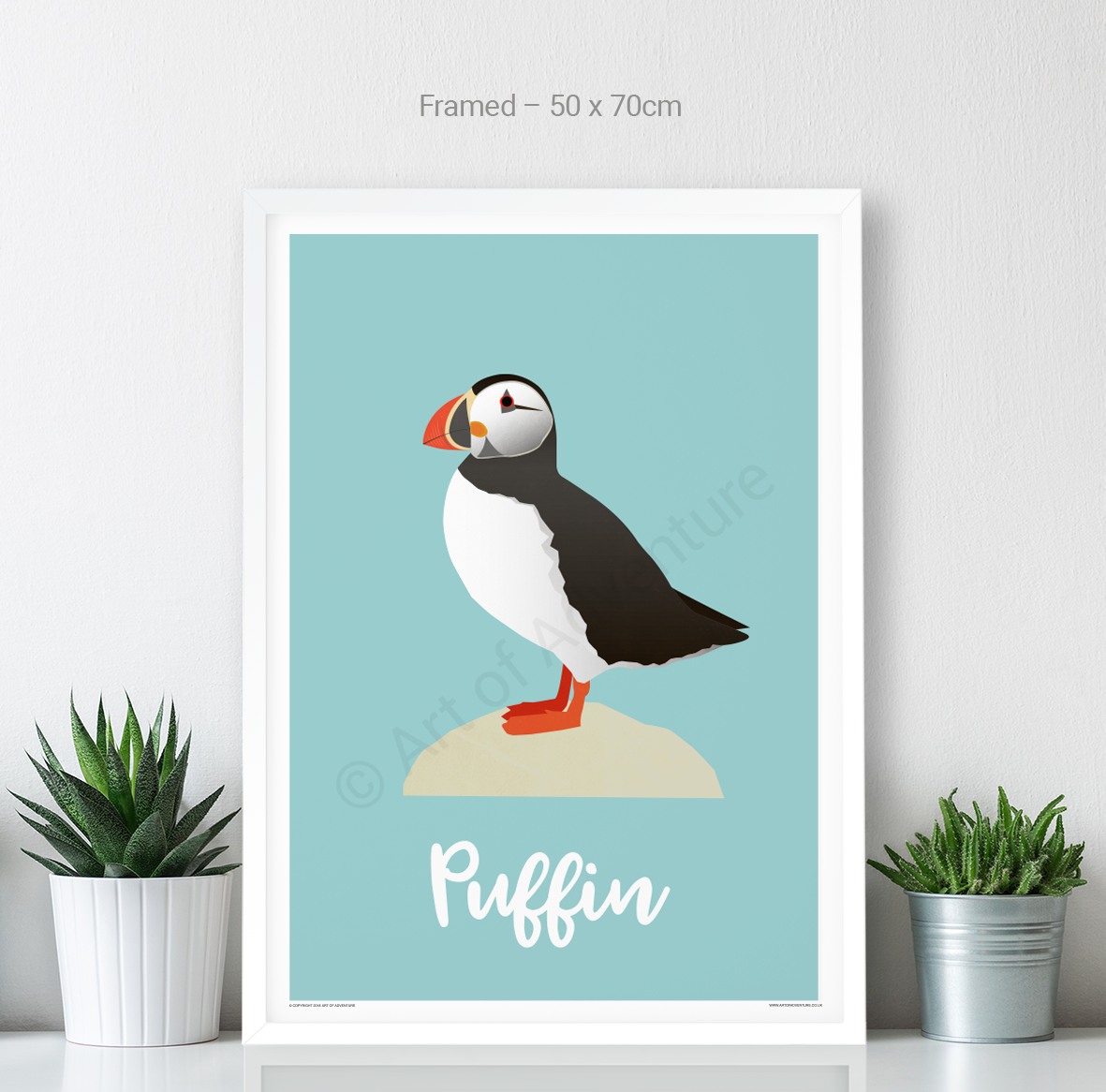 Puffin