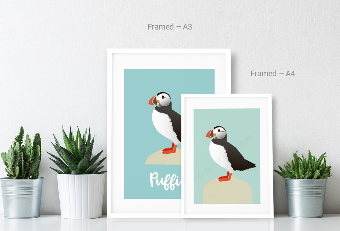 Puffin