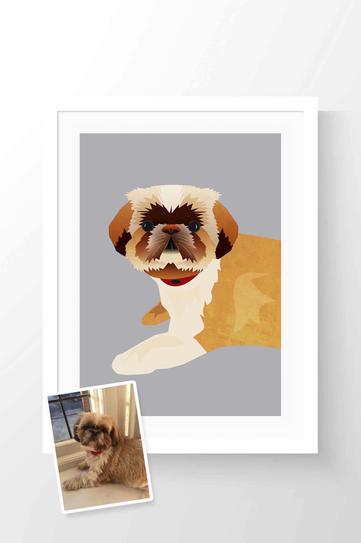 Animal Portraits