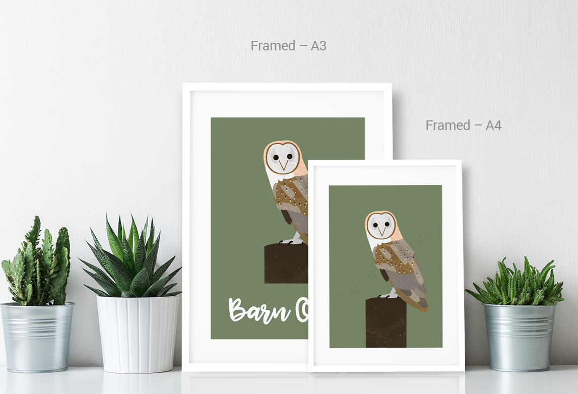 Barn Owl - Art of Adventure