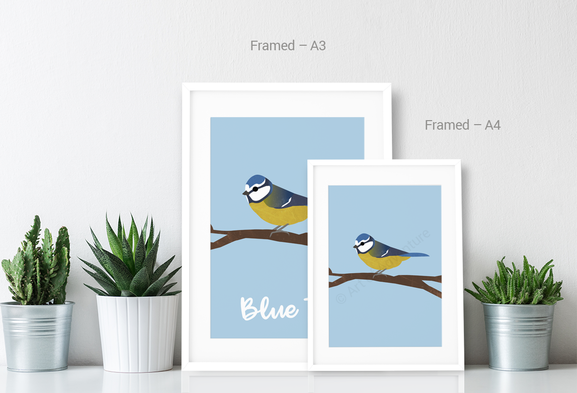 Blue Tit - Art of Adventure