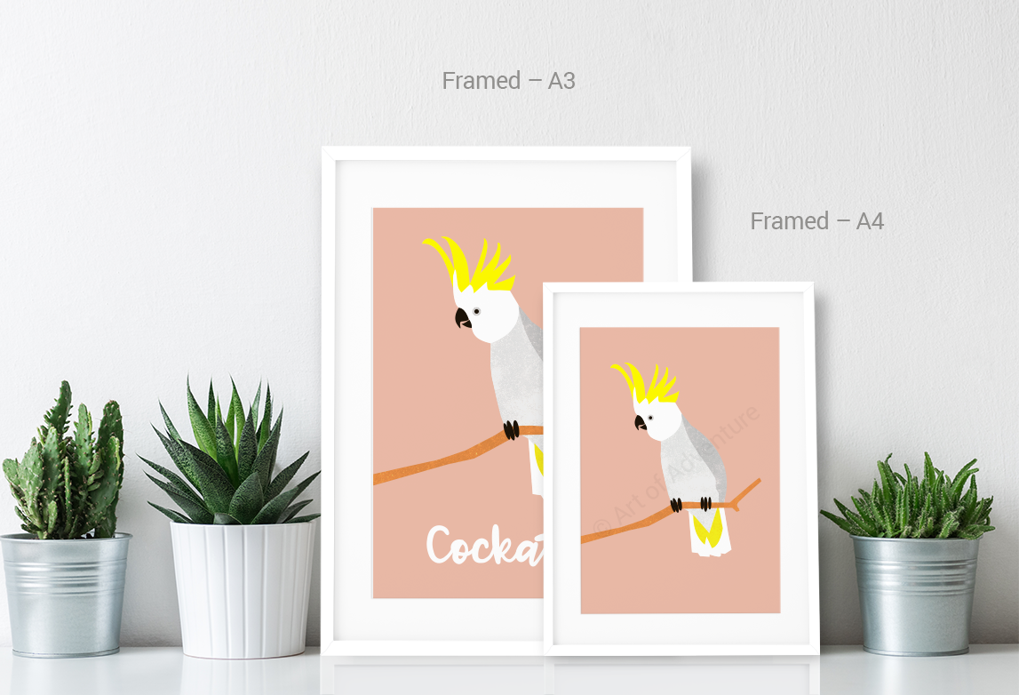 Cockatoo