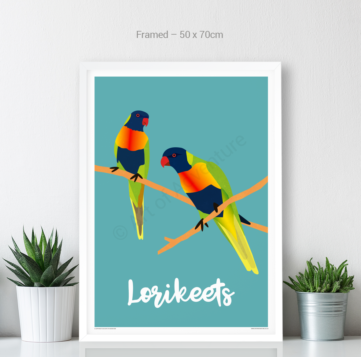Lorikeets