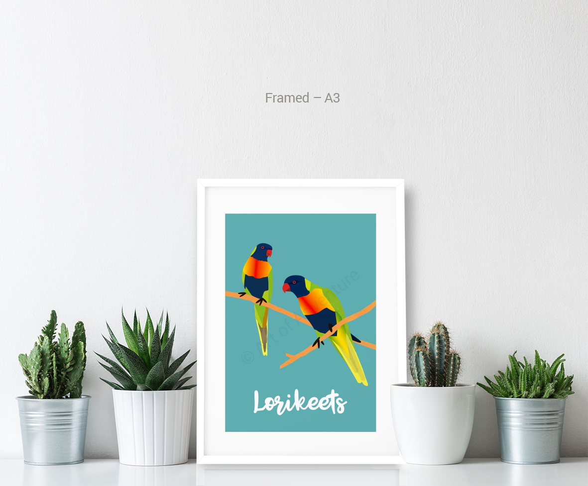 Lorikeets