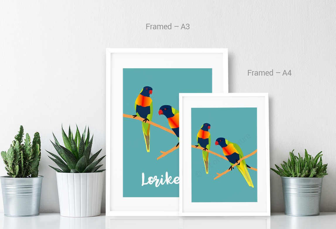 Lorikeets