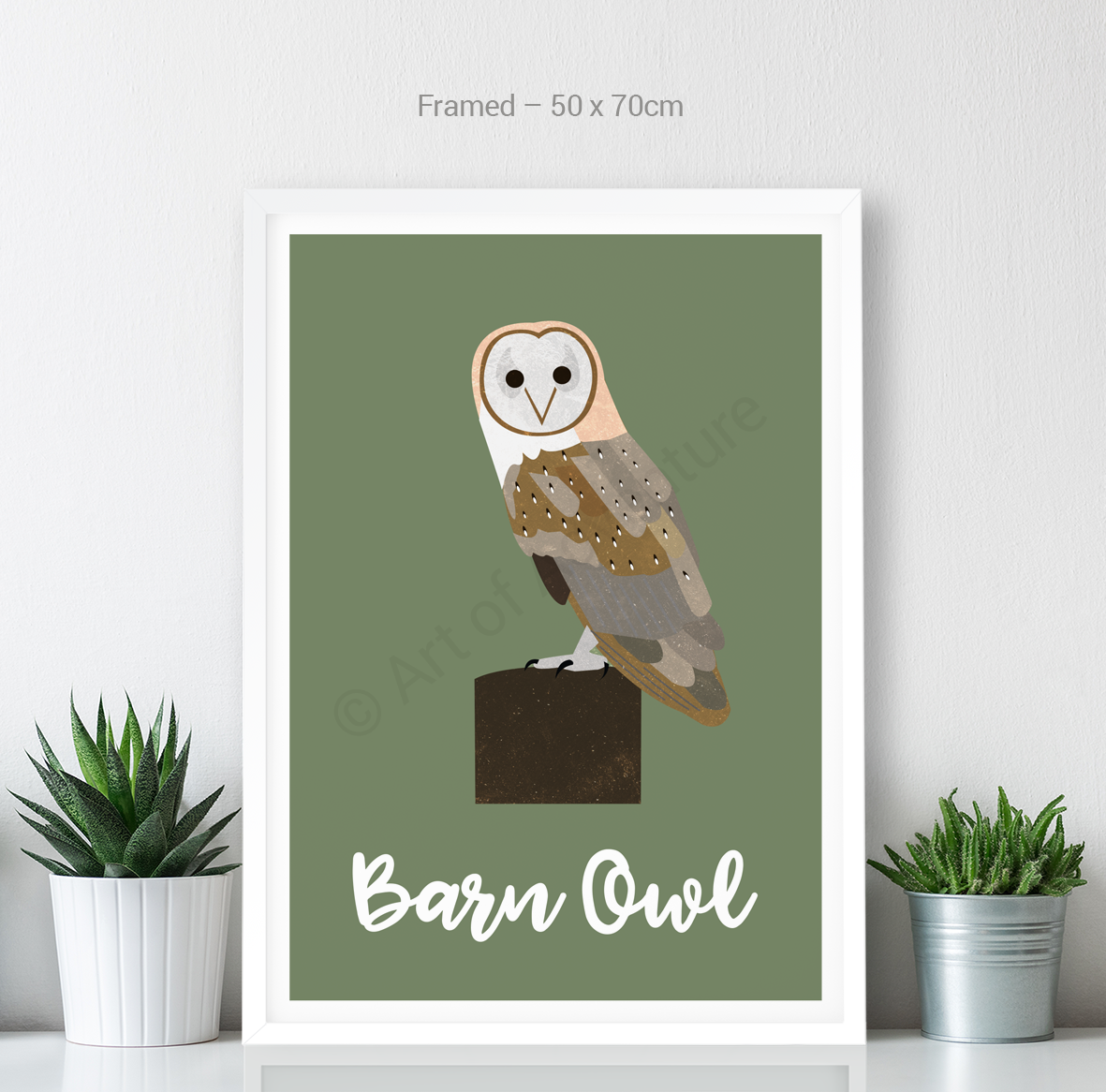 Barn Owl - Art of Adventure