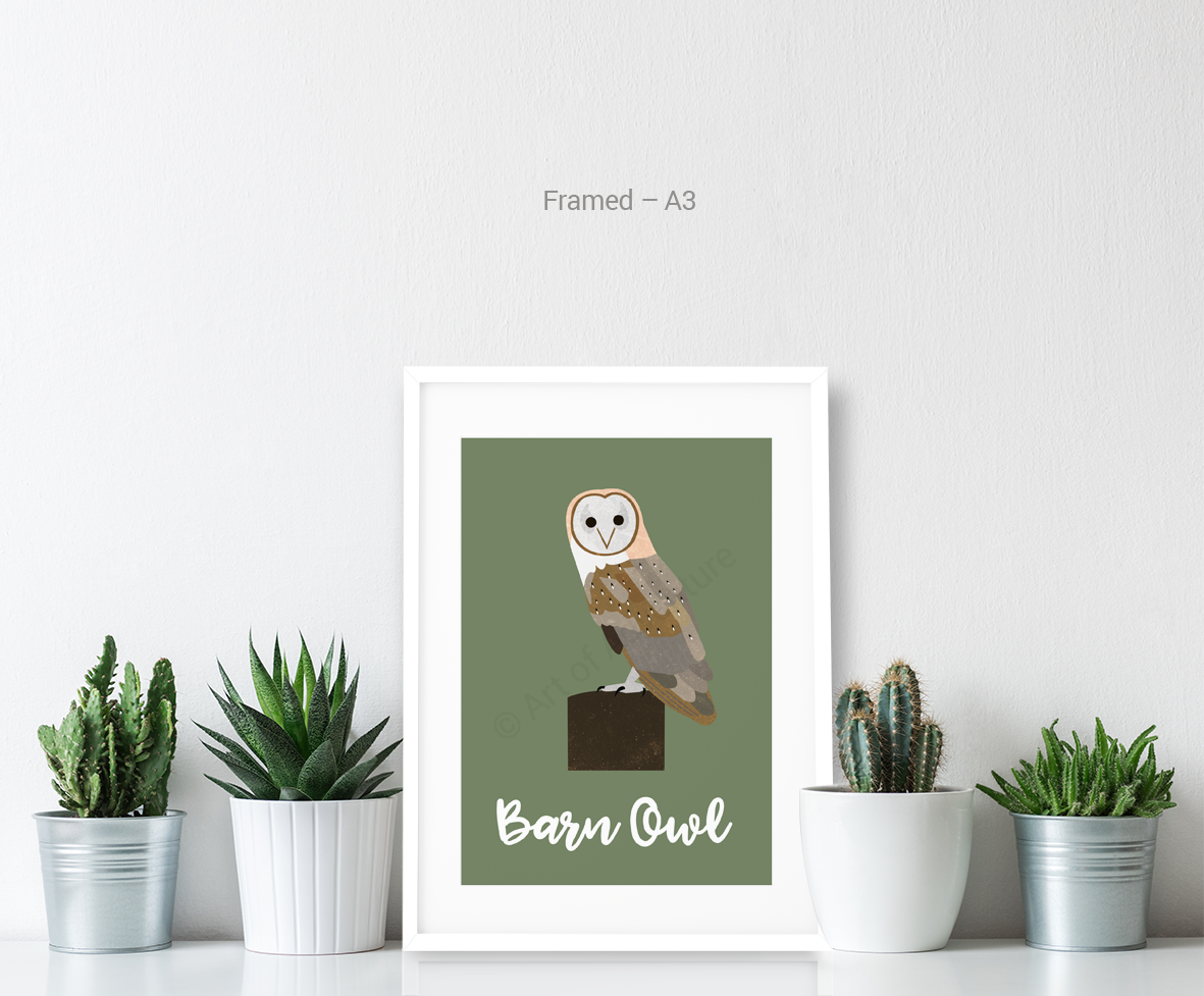 Barn Owl - Art of Adventure