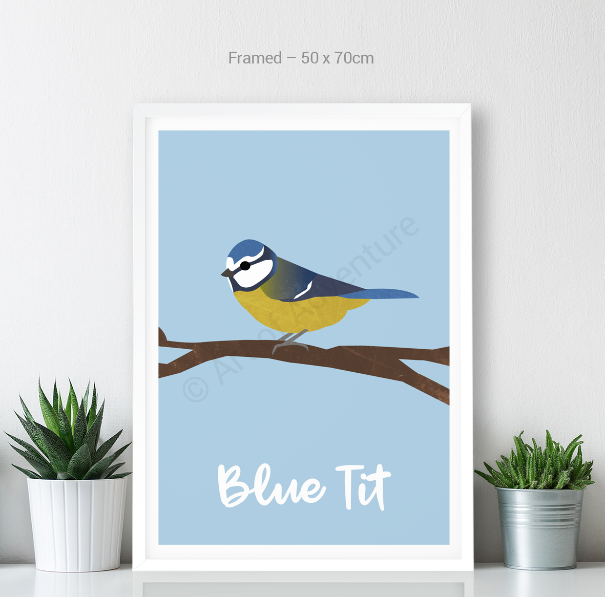 Blue Tit - Art of Adventure