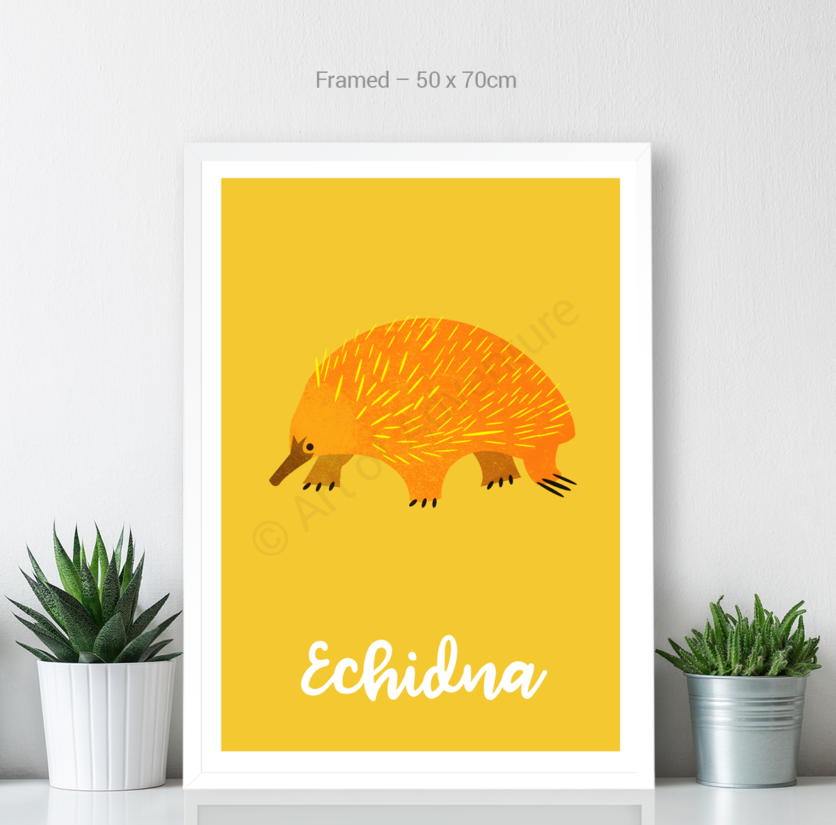 Echidna - Art of Adventure