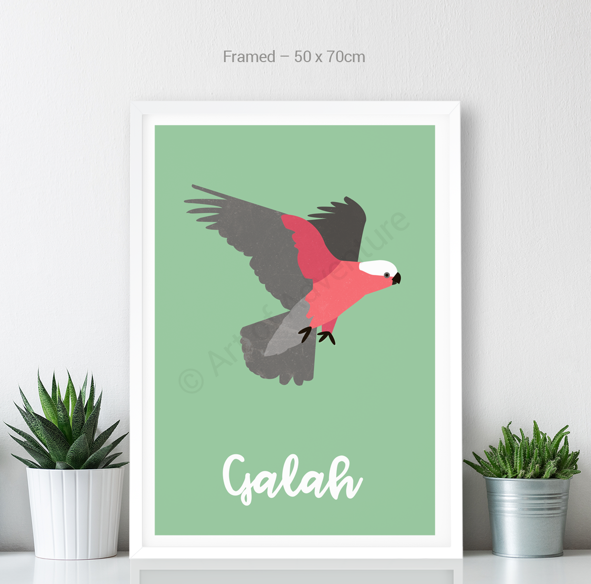Galah - Art of Adventure