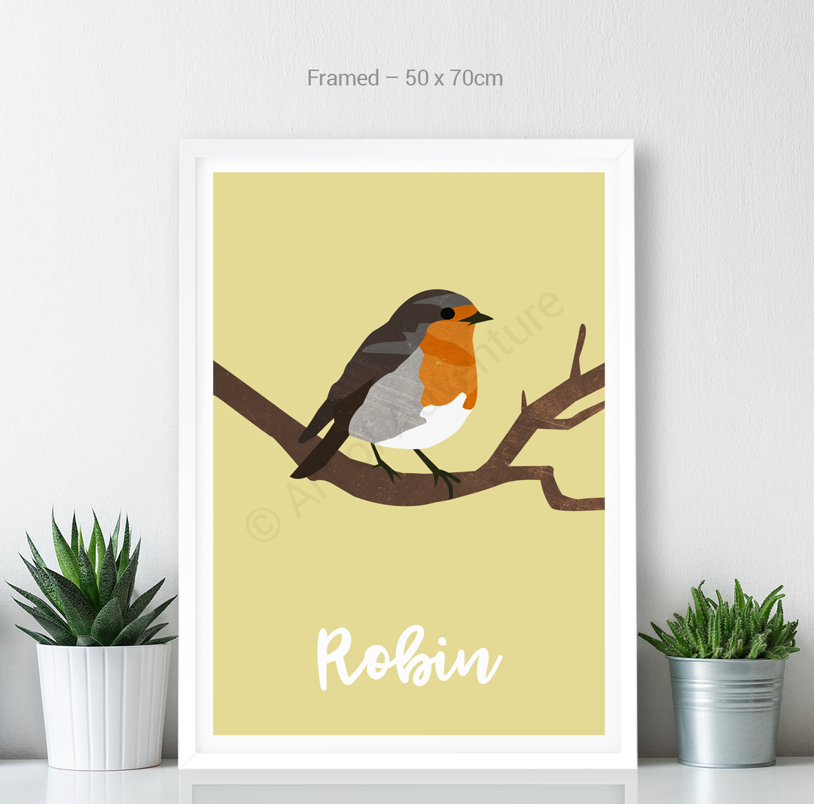 Robin - Art of Adventure