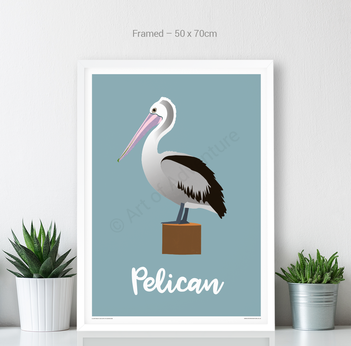 Pelican - Art of Adventure