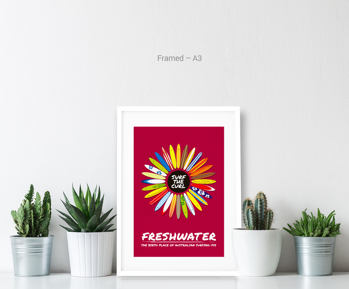 Freshwater Beach – Surfboards - Art of Adventure