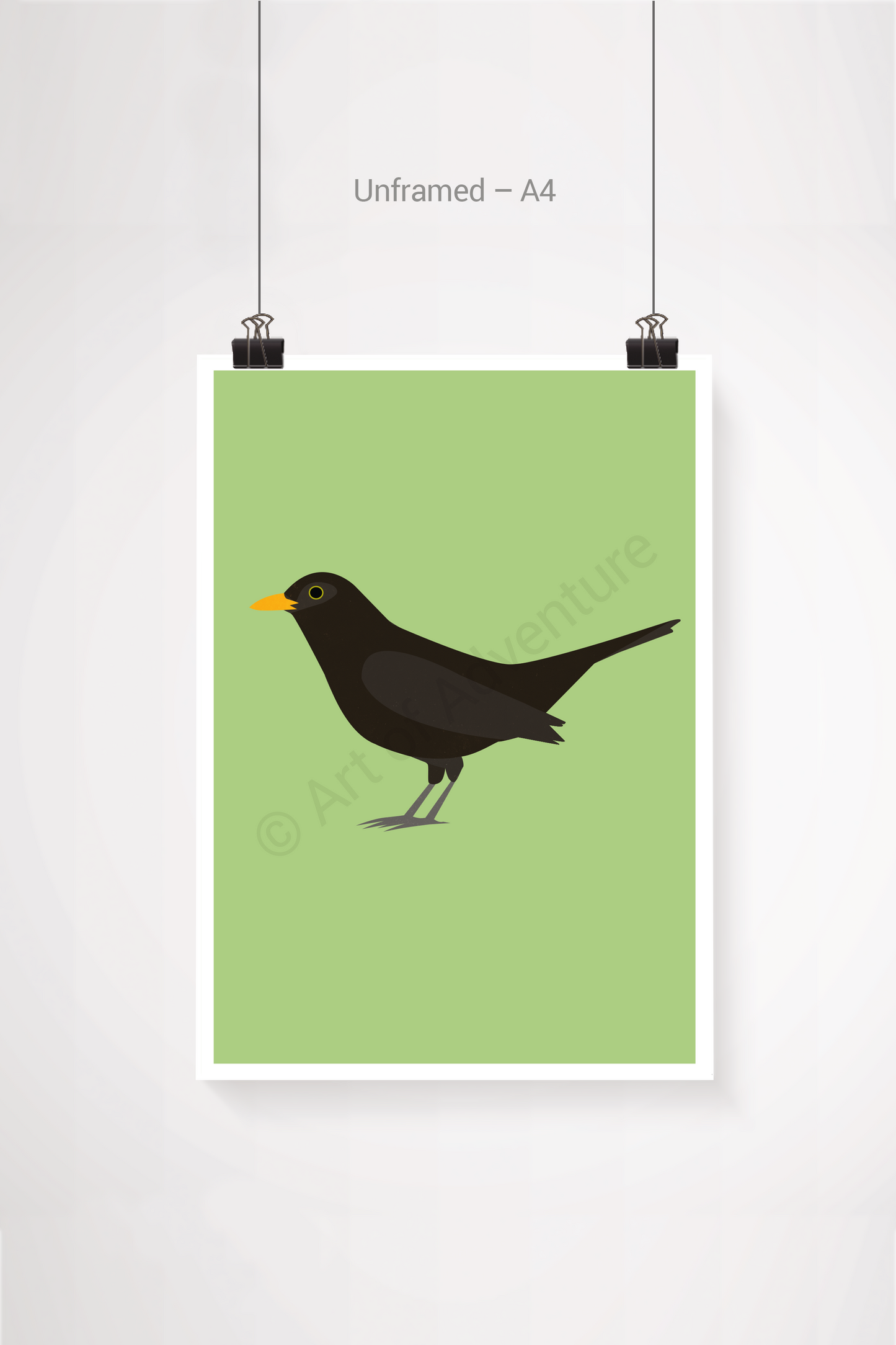 Blackbird