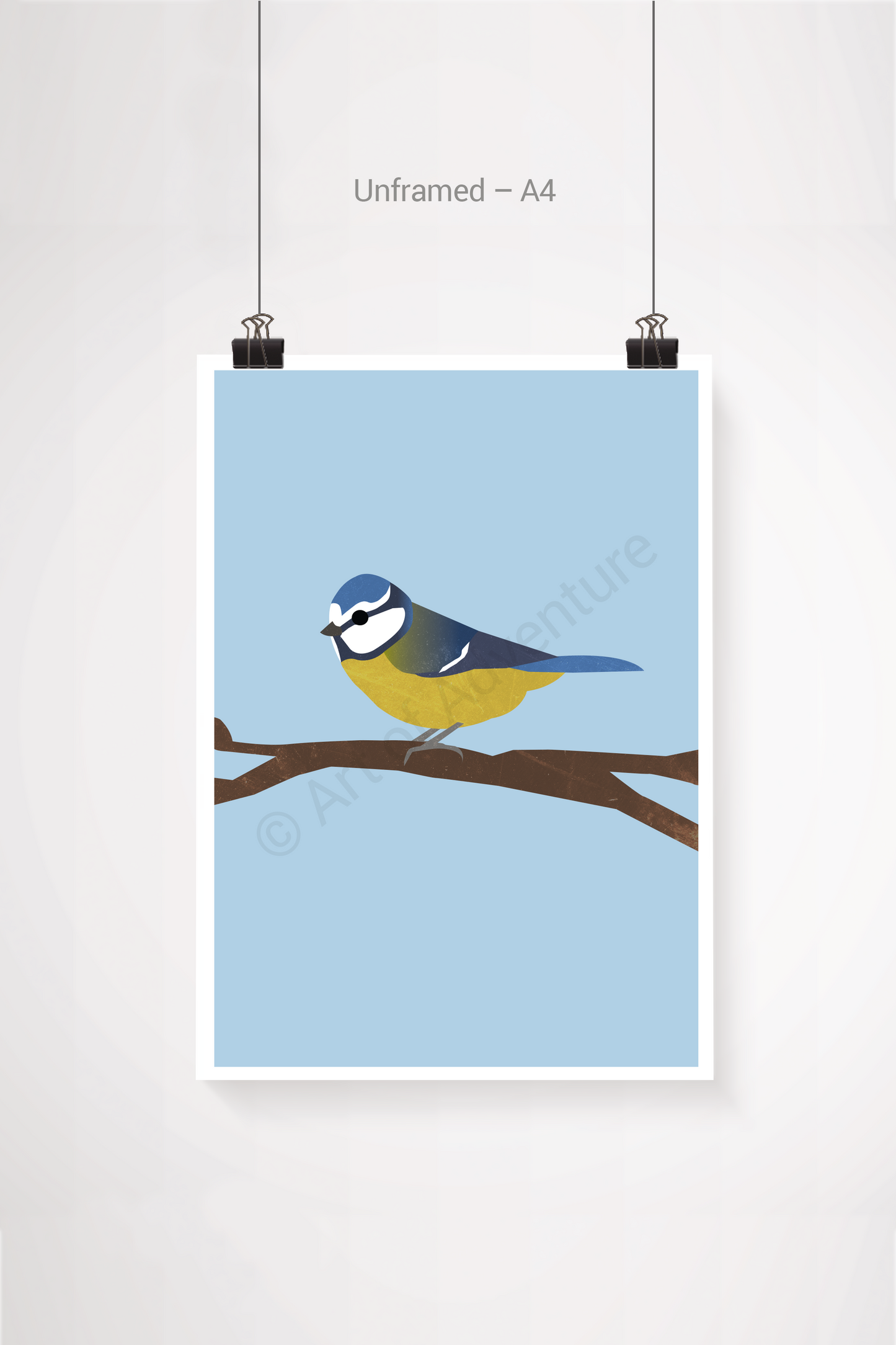 Blue Tit