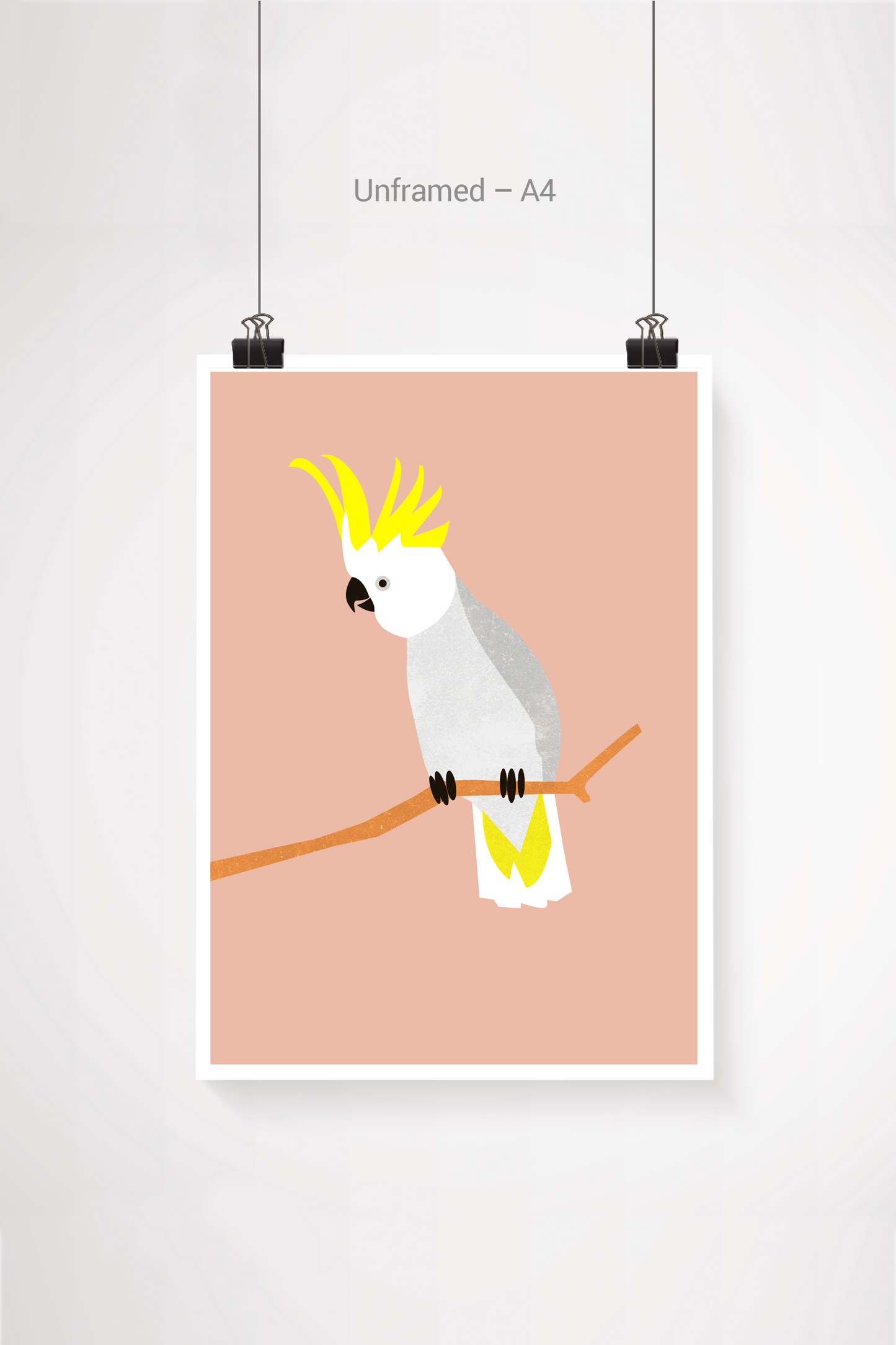 Cockatoo