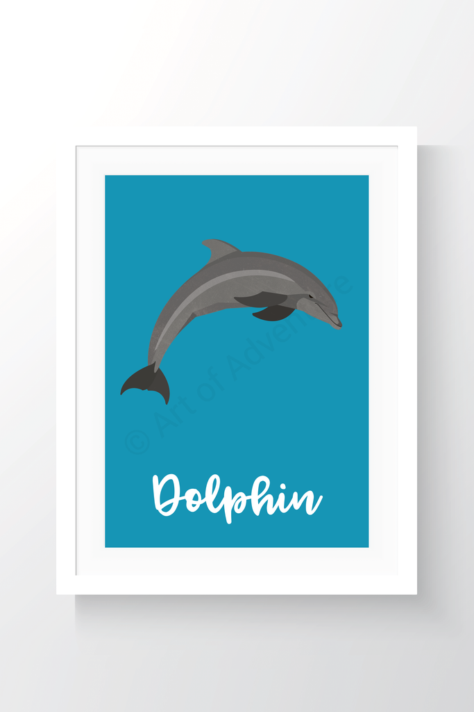 Dolphin - Art of Adventure