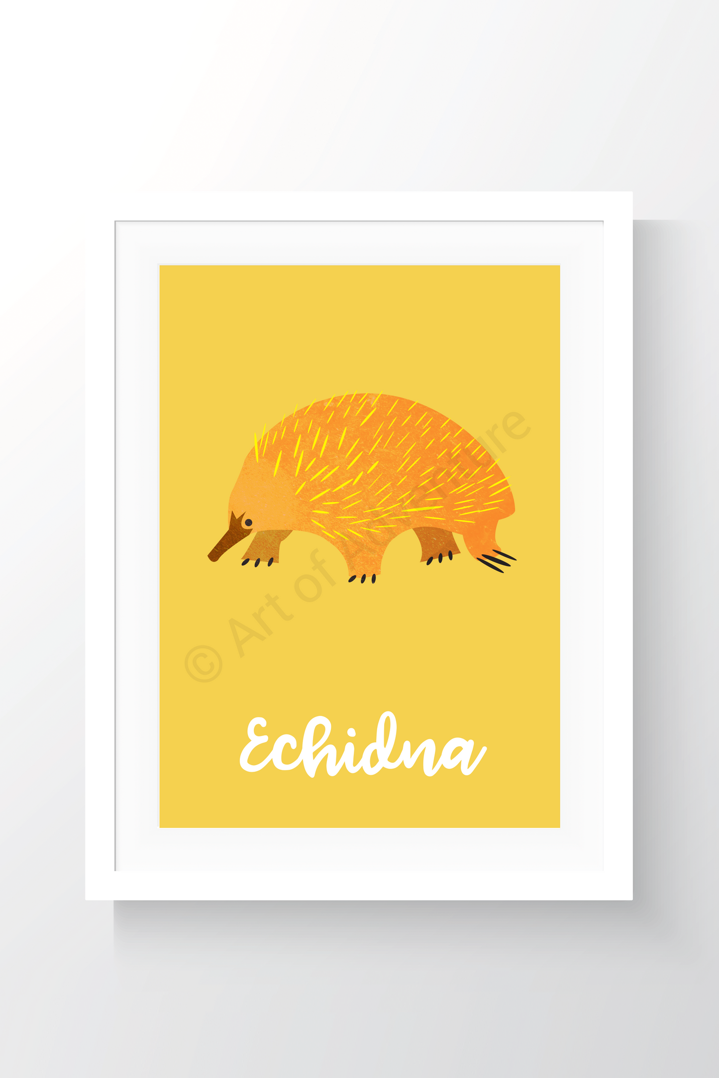 Echidna - Art of Adventure