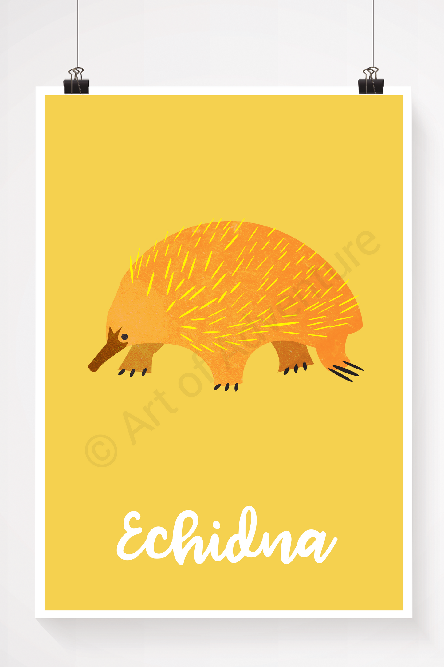 Echidna - Art of Adventure