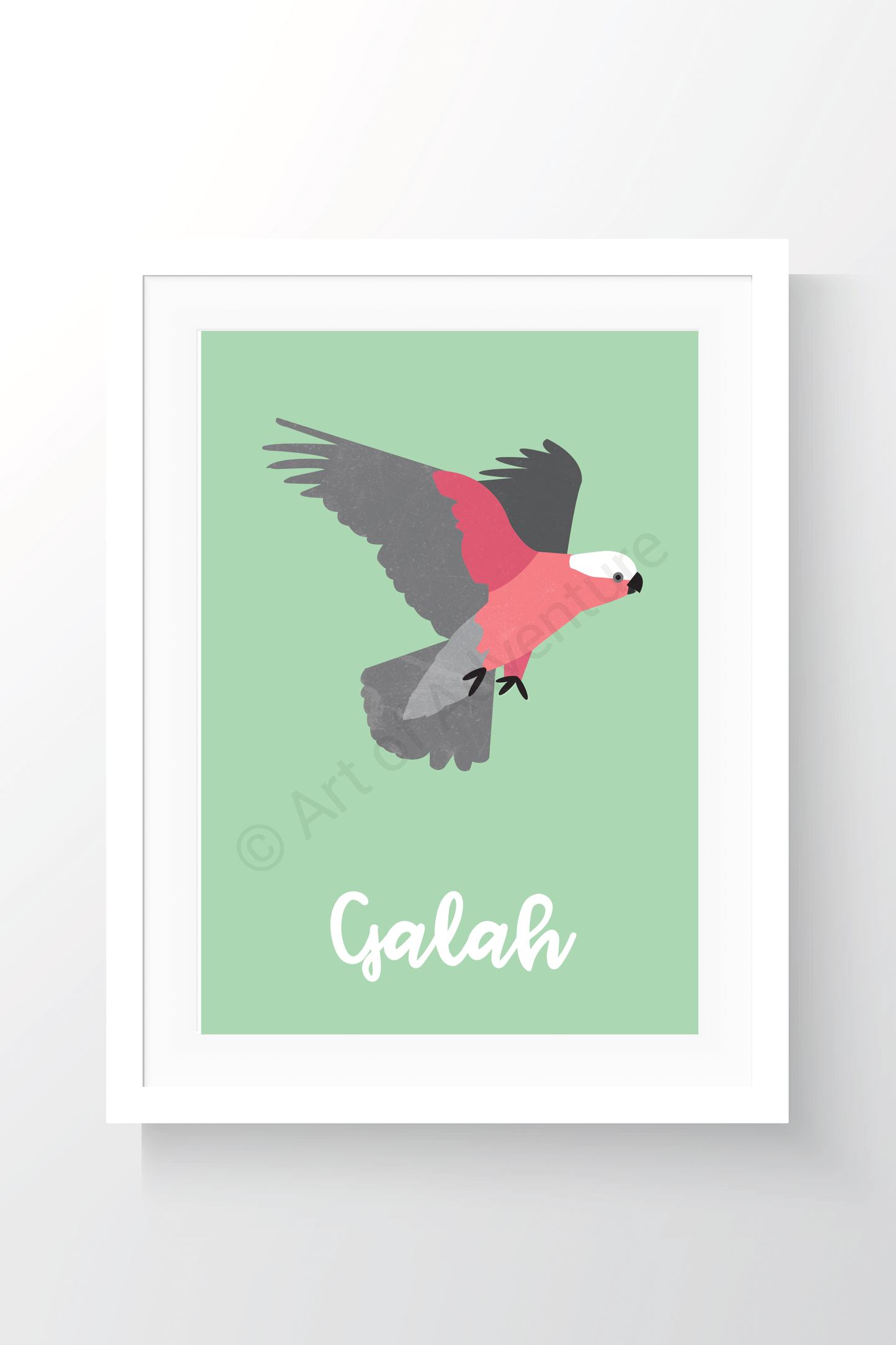 Galah - Art of Adventure