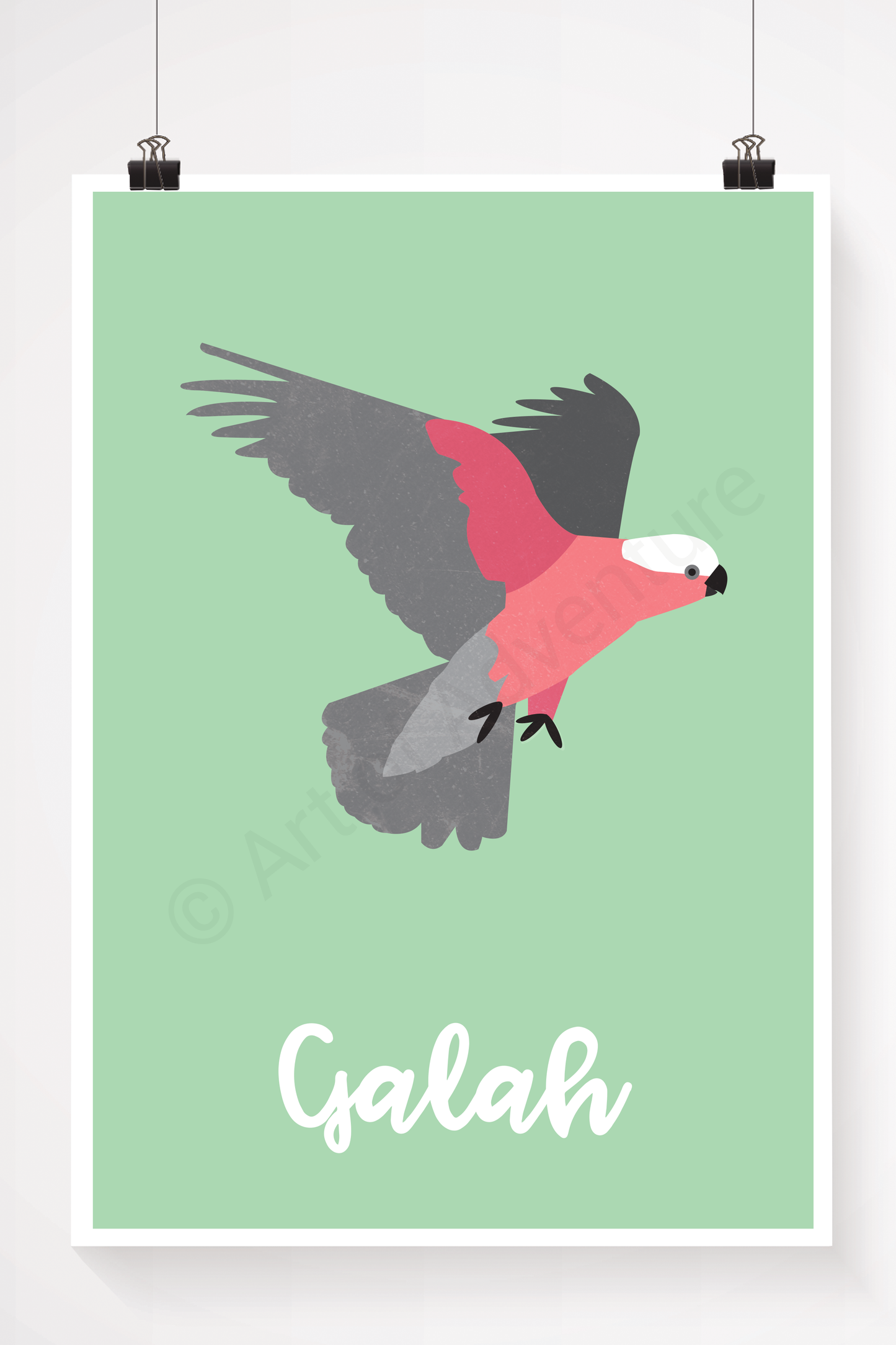 Galah - Art of Adventure