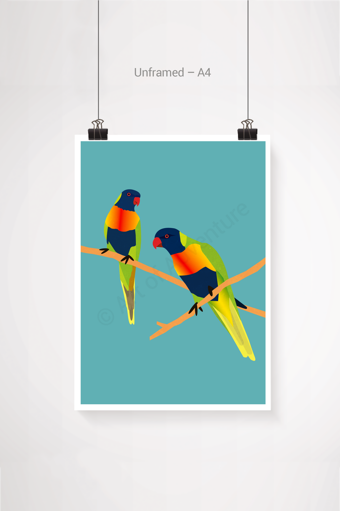 Lorikeets