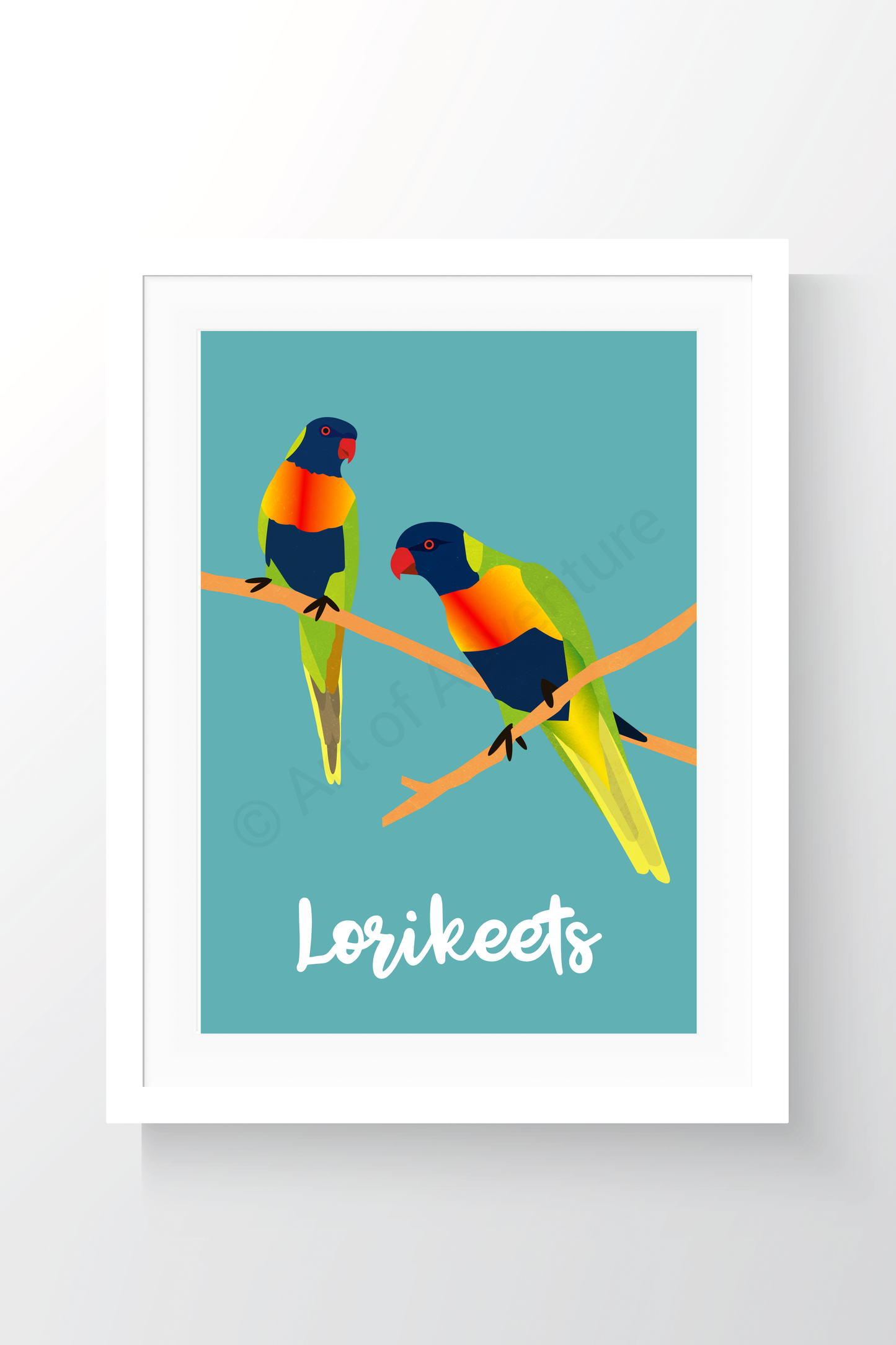 Lorikeets