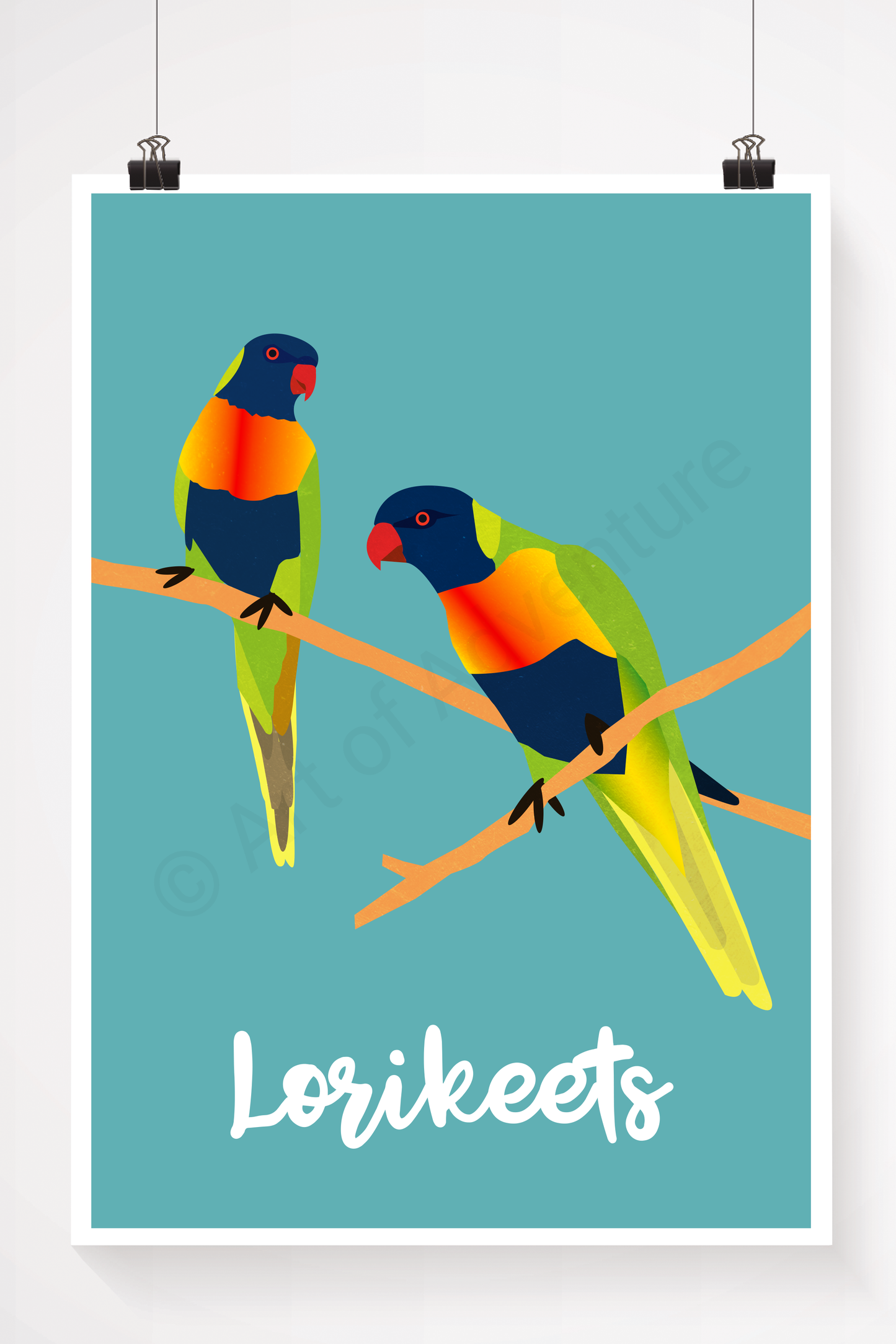 Lorikeets
