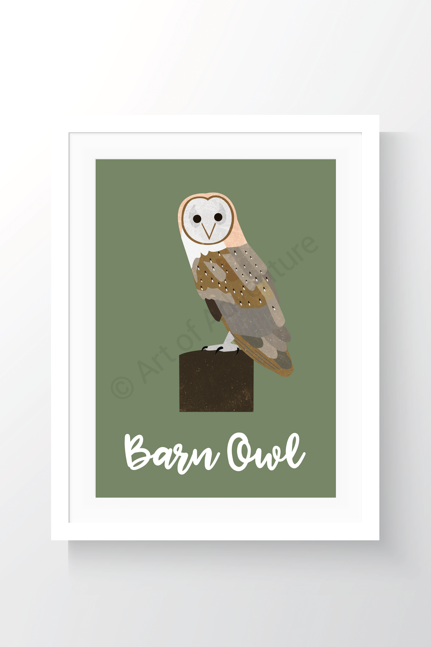 Barn Owl - Art of Adventure