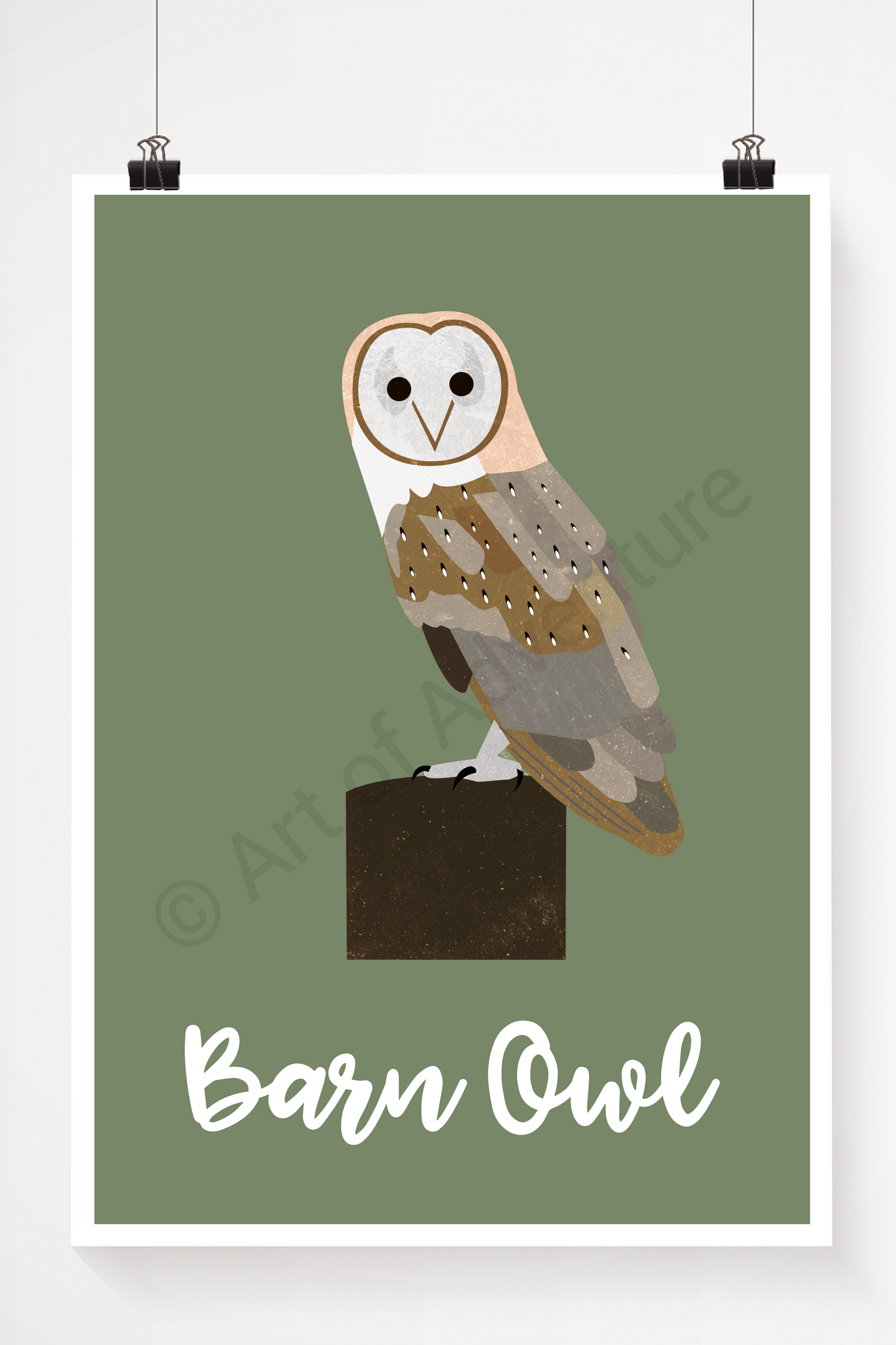Barn Owl - Art of Adventure