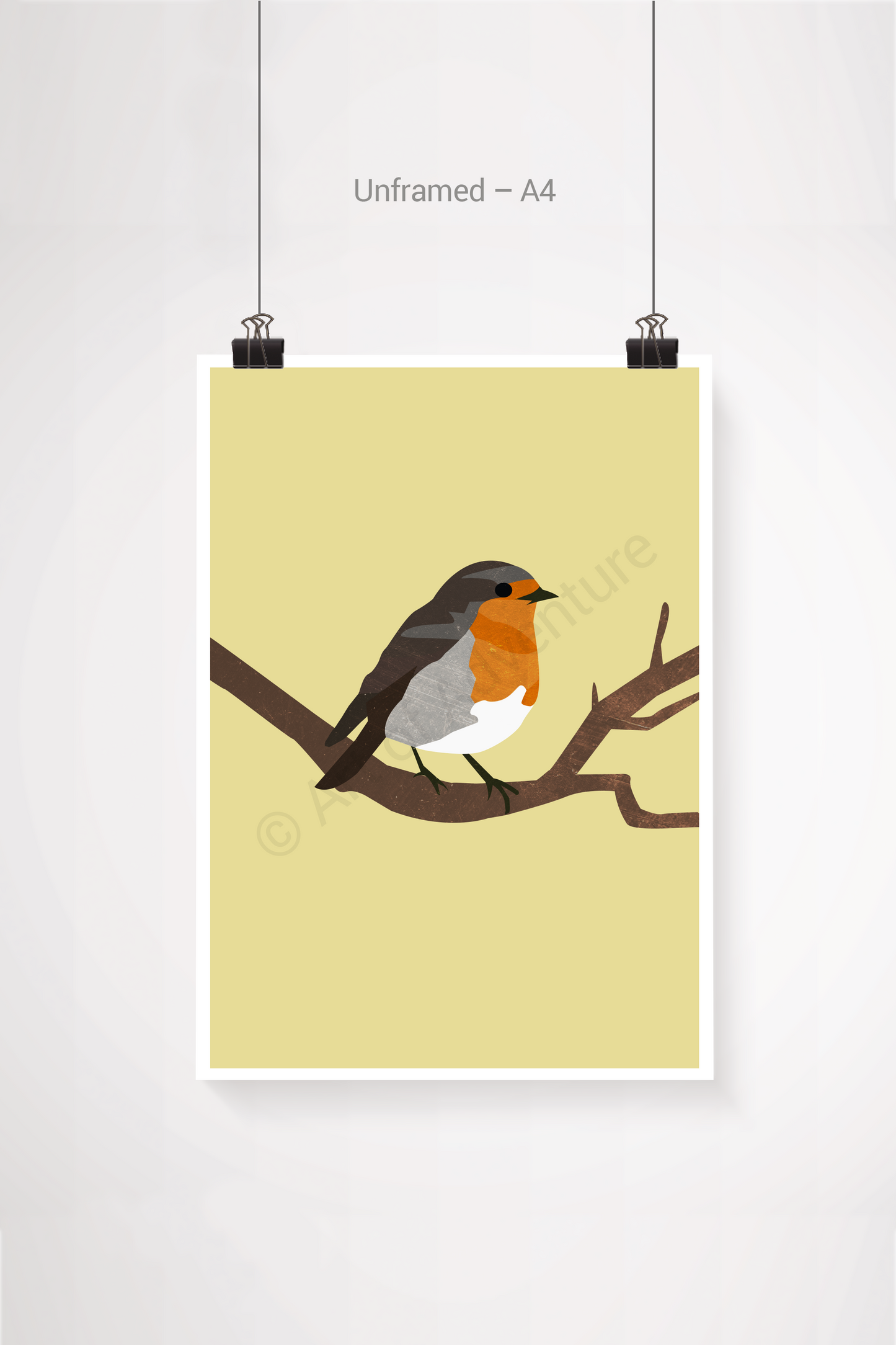 Robin