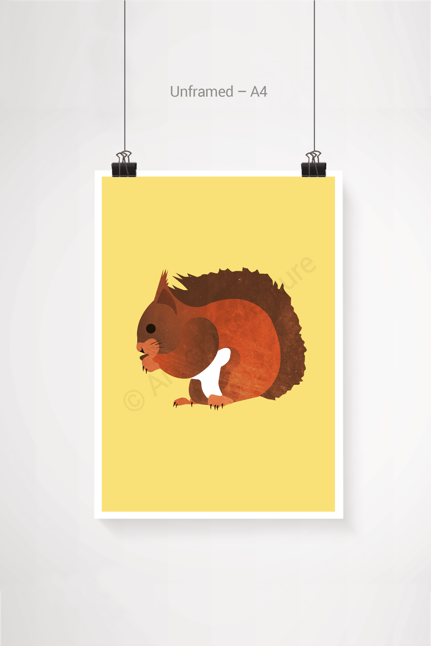 Squirrel