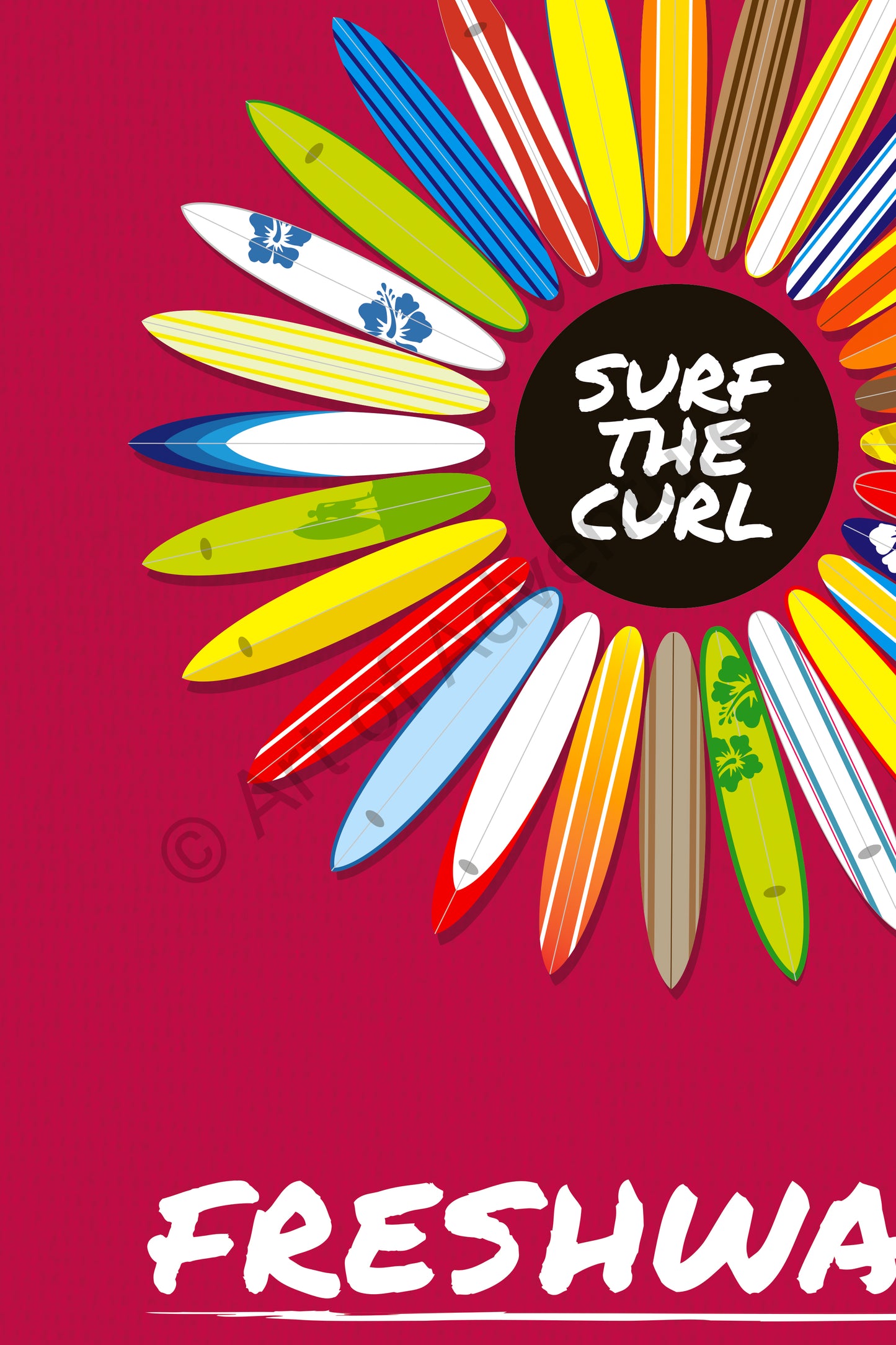 Freshwater Beach – Surfboards