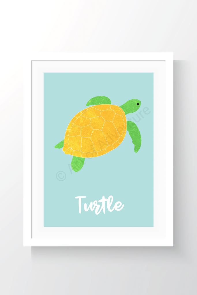 Turtle - Art of Adventure