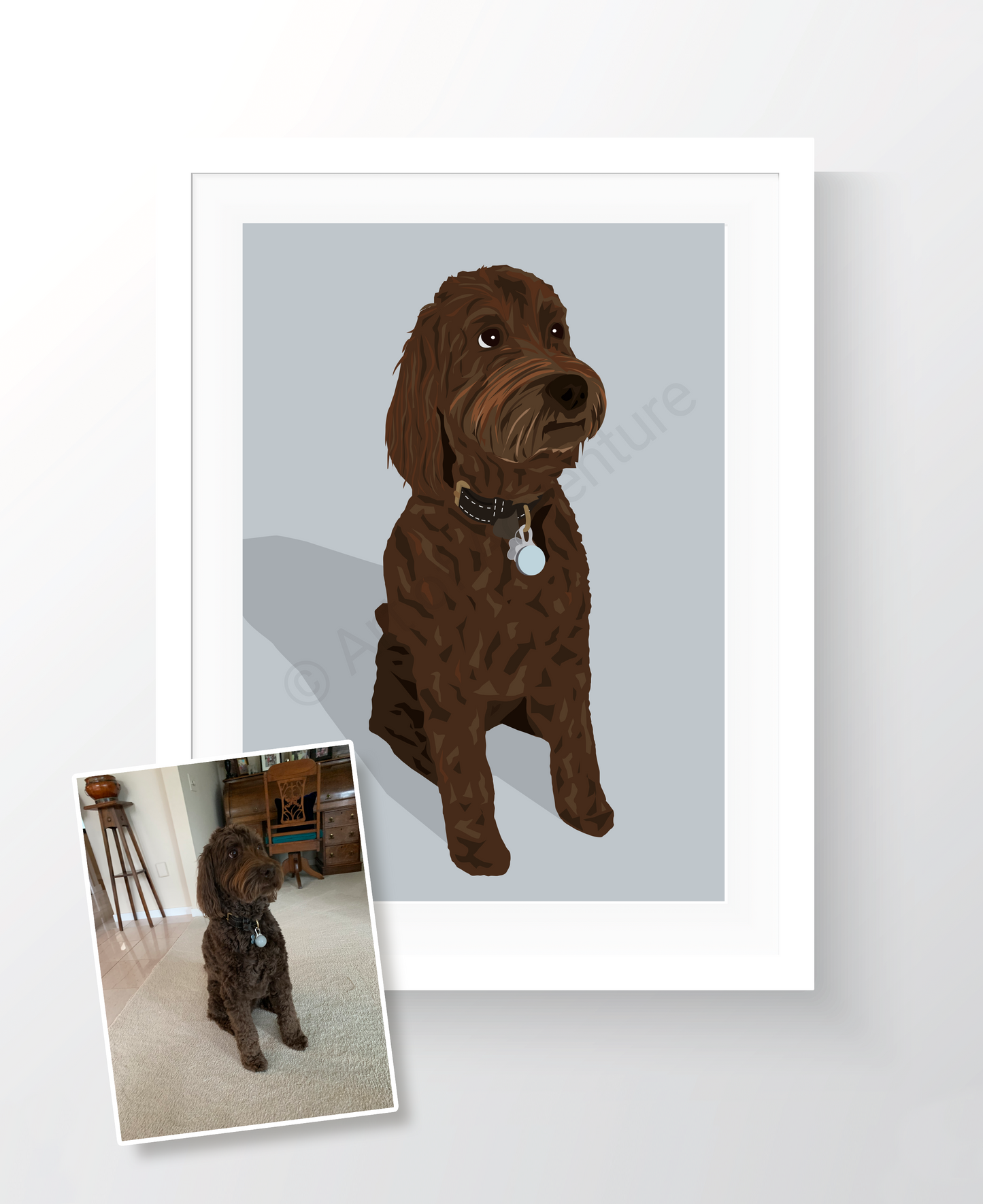 Animal Portraits