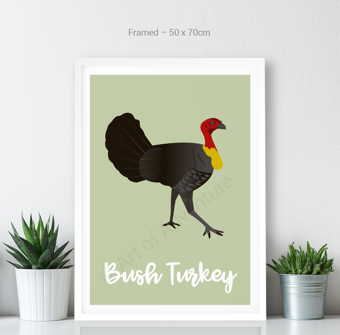 Bush Turkey - Art of Adventure