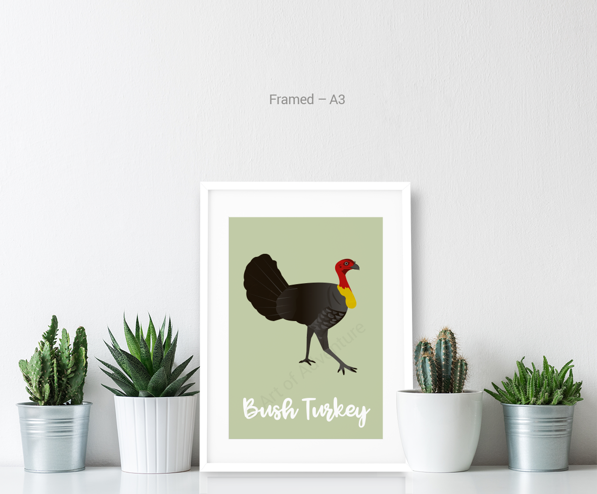 Bush Turkey - Art of Adventure