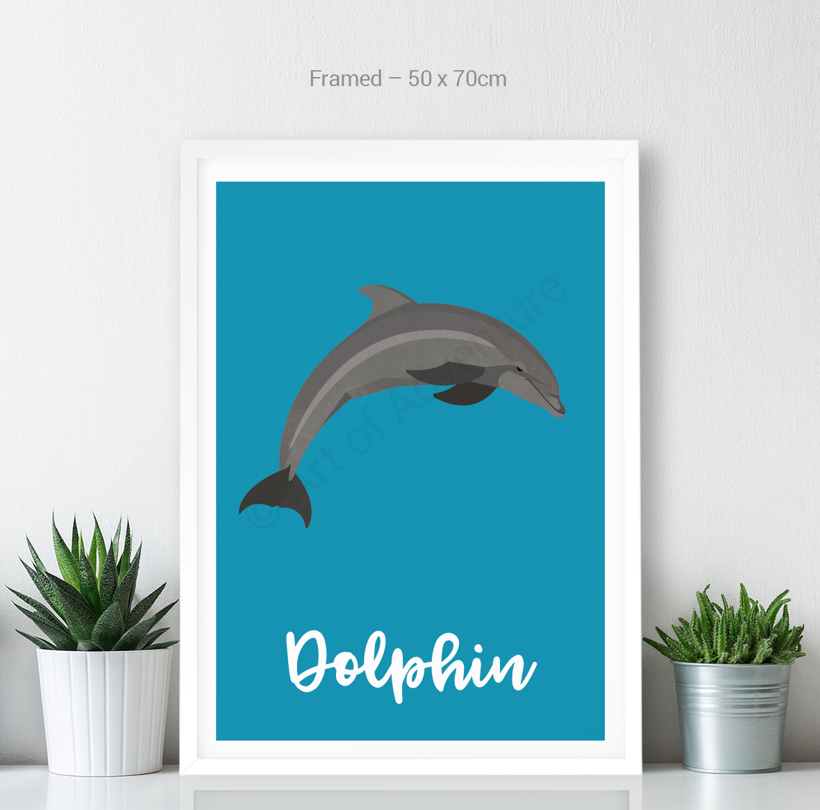 Dolphin - Art of Adventure