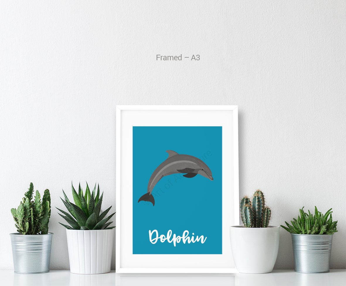 Dolphin - Art of Adventure