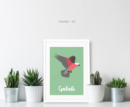 Galah - Art of Adventure