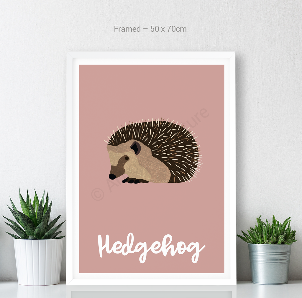 Hedgehog - Art of Adventure