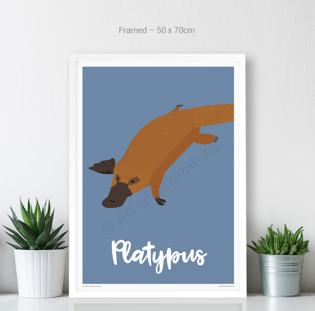 Platypus - Art of Adventure