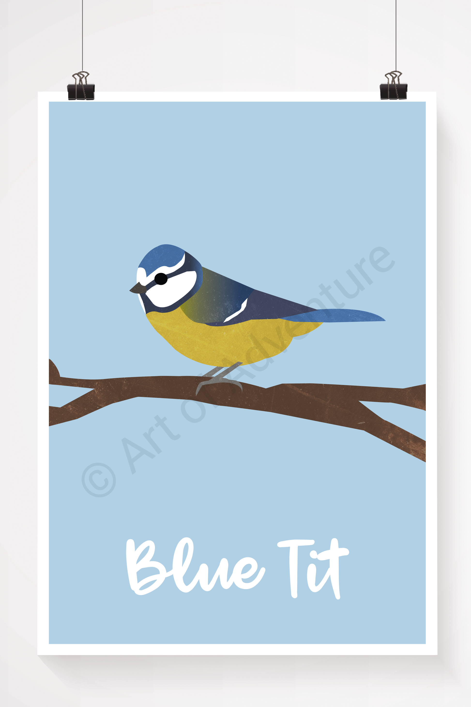Blue Tit - Art of Adventure