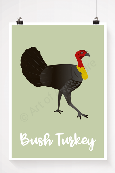Bush Turkey - Art of Adventure