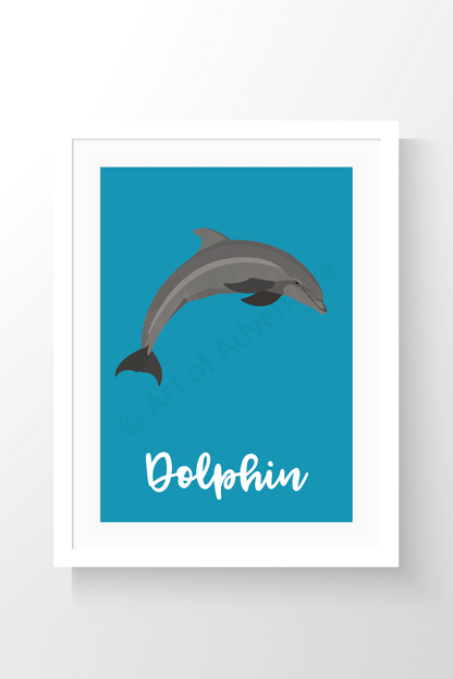 Dolphin - Art of Adventure